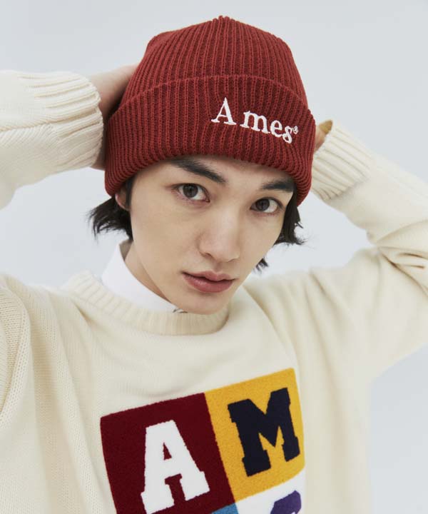 AMES-WORLDWIDE Basic Logo Beanie Brick