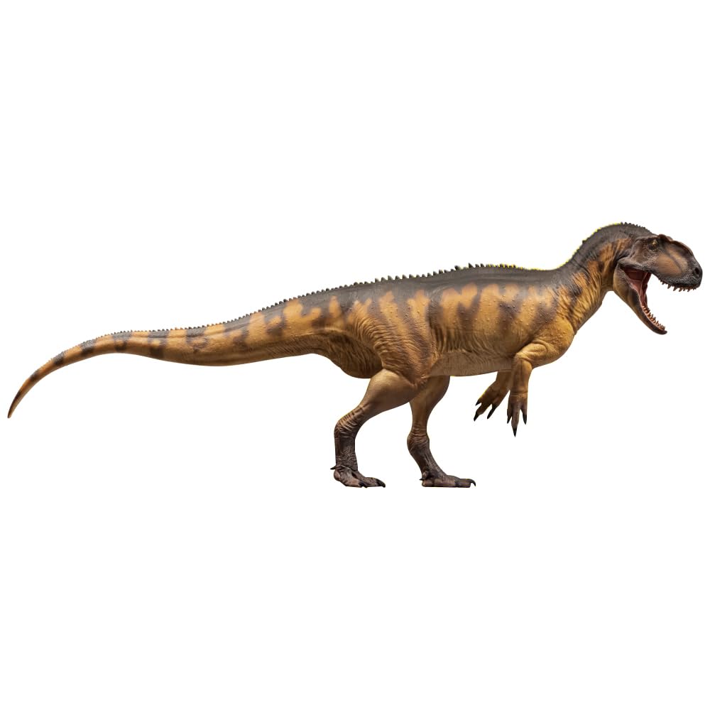 BACALYSO PNSO Growth Series 76 Yangchuanosaurus Da Openable PVC Dinosaur Toy Model Figure, Peng, Allosaurid, 32cm, Mouth,
