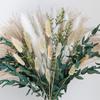 Handmade Dried Flower with Phragmites Communis and Rabbit Tail for Farmhouses Style Arrangement and Stable Gift
