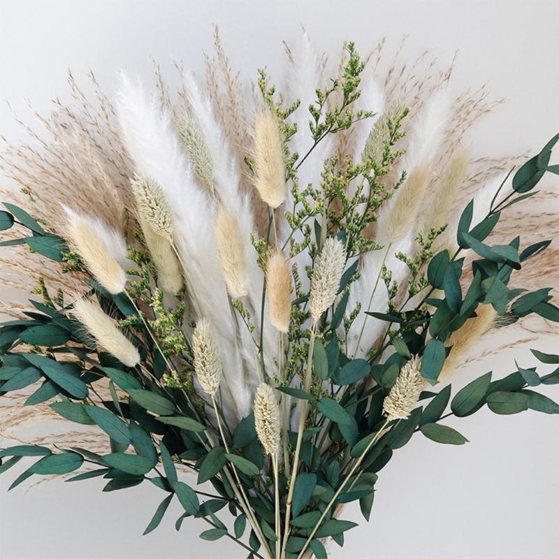 Handmade Dried Flower with Phragmites Communis and Rabbit Tail for Farmhouses Style Arrangement and Stable Gift