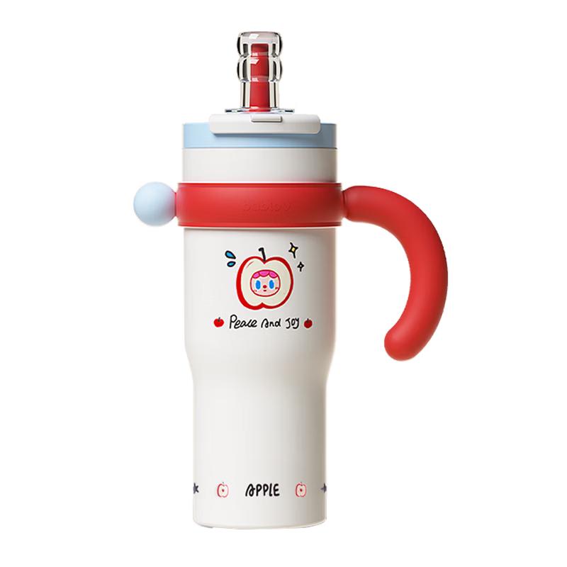 Bablof 316 SS Insulated Straw Water Bottle