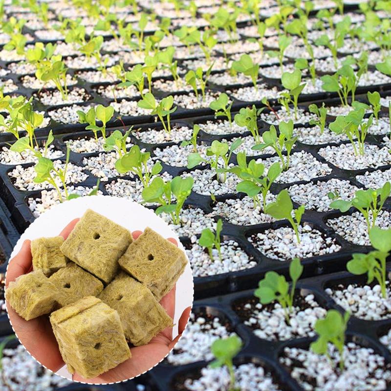 Seedling Grow Plug Sponge Block Starter Rock Wool Planting Grow Cubes Hydroponics Cuttings Garden Plant Propagation Grow Supply