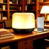 500ml Large Mist Humidifier & Essential Oil Diffuser for Home