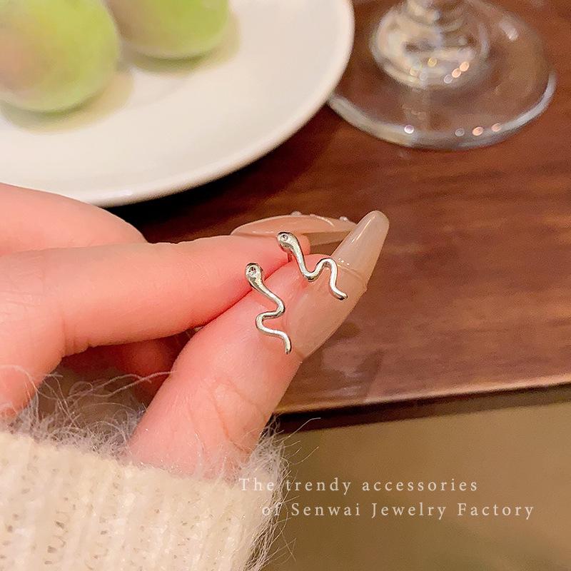 

Год Змеи: Элегантные серьги-змеи, питающие уши, для женщин – Удобные для сна, Уникальный нишевый дизайн