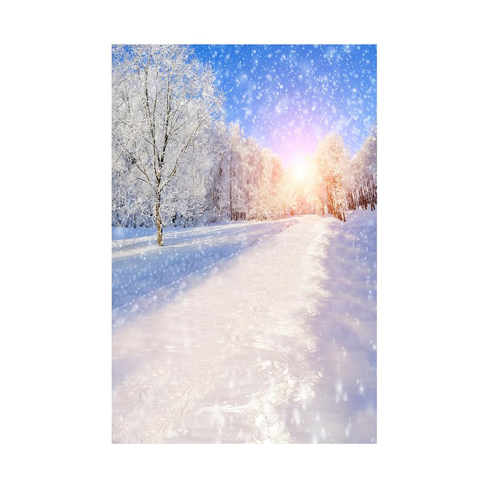 Plakat Świąteczny Scena Śnieżna Rekwizyty Tła Festiwalowego do Dekoracji Domu, Imprez, Studia, Uroczystości Plenerowych, Ślubu