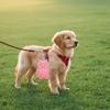 Portable Pet Garbage Bag Dispenser Owl Shaped Waterproof Pet Poop Bag Holder with Hook Soft Silicone Waste Bag Dispenser