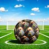 1pc Wolf Rose Fantasy Durable Size 5 Soccer Ball Professional Match Training Football Indoor &Outdoor Sports Ball P60181