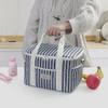 Striped Portable Large-Capacity Insulated Picnic Bag and Cooler
