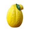Bedroom Decoration Vase Fruit Shaped Vase, Decorative Ceramic Creative Plant Pot, Compact Colorful Home Decor Flower Container for Living Room Kitchen