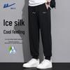 Men's Ice Silk Quick Dry Tapered Sports Pants