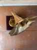 Indian Handmade Non Working Gramophone Model For Showpiece Decor Gift For Christmas