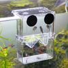 Multifu Fisch Aquarium Hohe Klare Zucht Isolationsbox Haustierbedarf Züchter Becken Doppel Guppy Schlupf Brutkasten Haustier Produkte