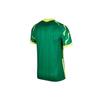 Nike Soccer Jerseys Men's Green CT6181-303