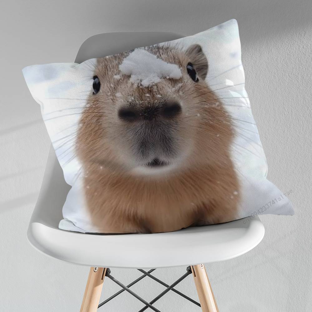 Cute Lindos Capibaras Various Sizes Square Pillow Case For Car Home Bedchamber Decor Birthday Gift