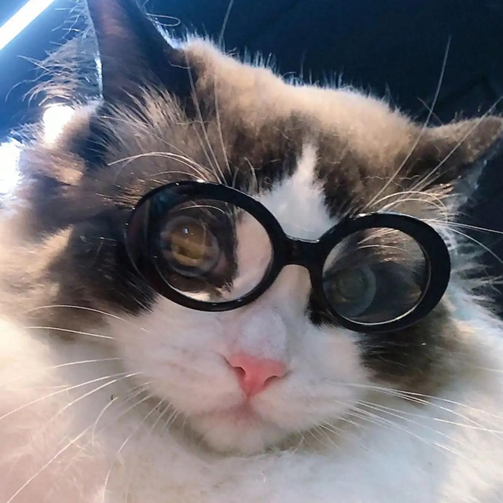 1pc-Cat Glasses Cool Pet  Fashion Round Glasses Pet Product For Pet Dog Cat Sunglasses For Photography Pet Accessories