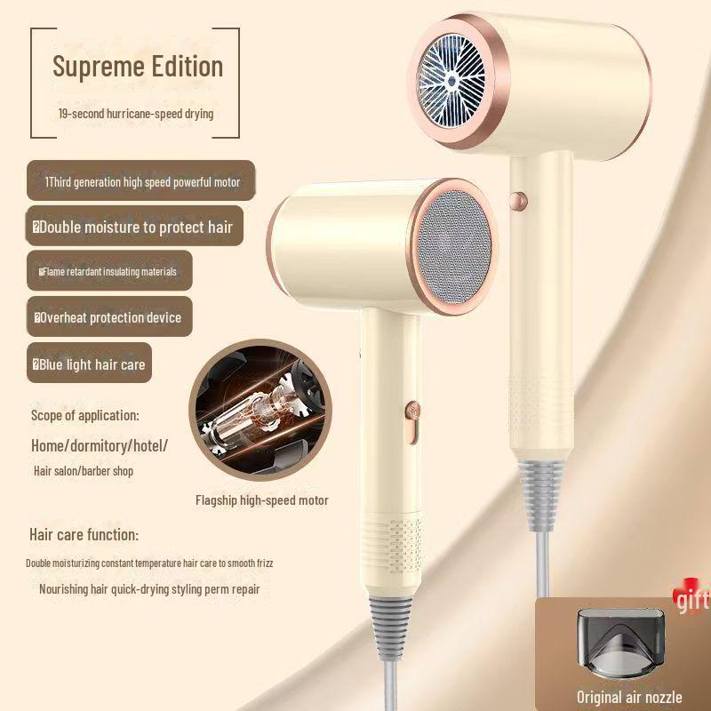 High-Power Hair Dryer with Ion Care and Hot/Cold Settings
