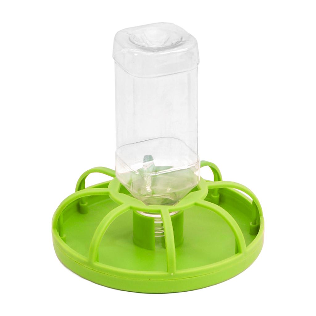 Reptile Water Feeder Automatic Reptile Feeder Tortoise Dispenser for Geckos Lizards Turtle Bearded Dragons