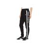 Adidas Originals Lace-Up Tapered Casual Pants Women bottoms AY7924