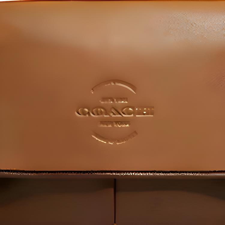 Coach Thompson 31 Brand Letter Logo Embossed Flap Refined Pebble Leather Shoulder Crossbody Bag Large Men Bags Brown C5395-QBQUN