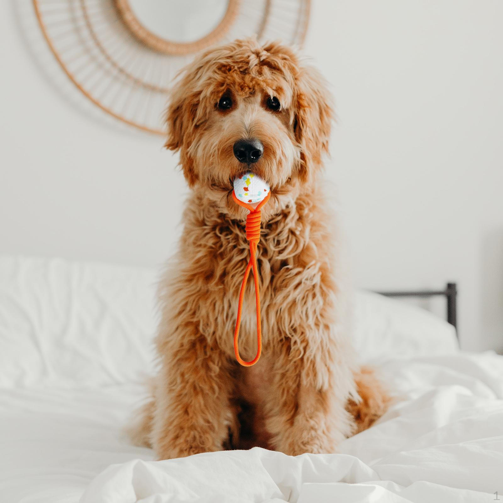 Веревочный мяч для собак для дрессировки и игр orange