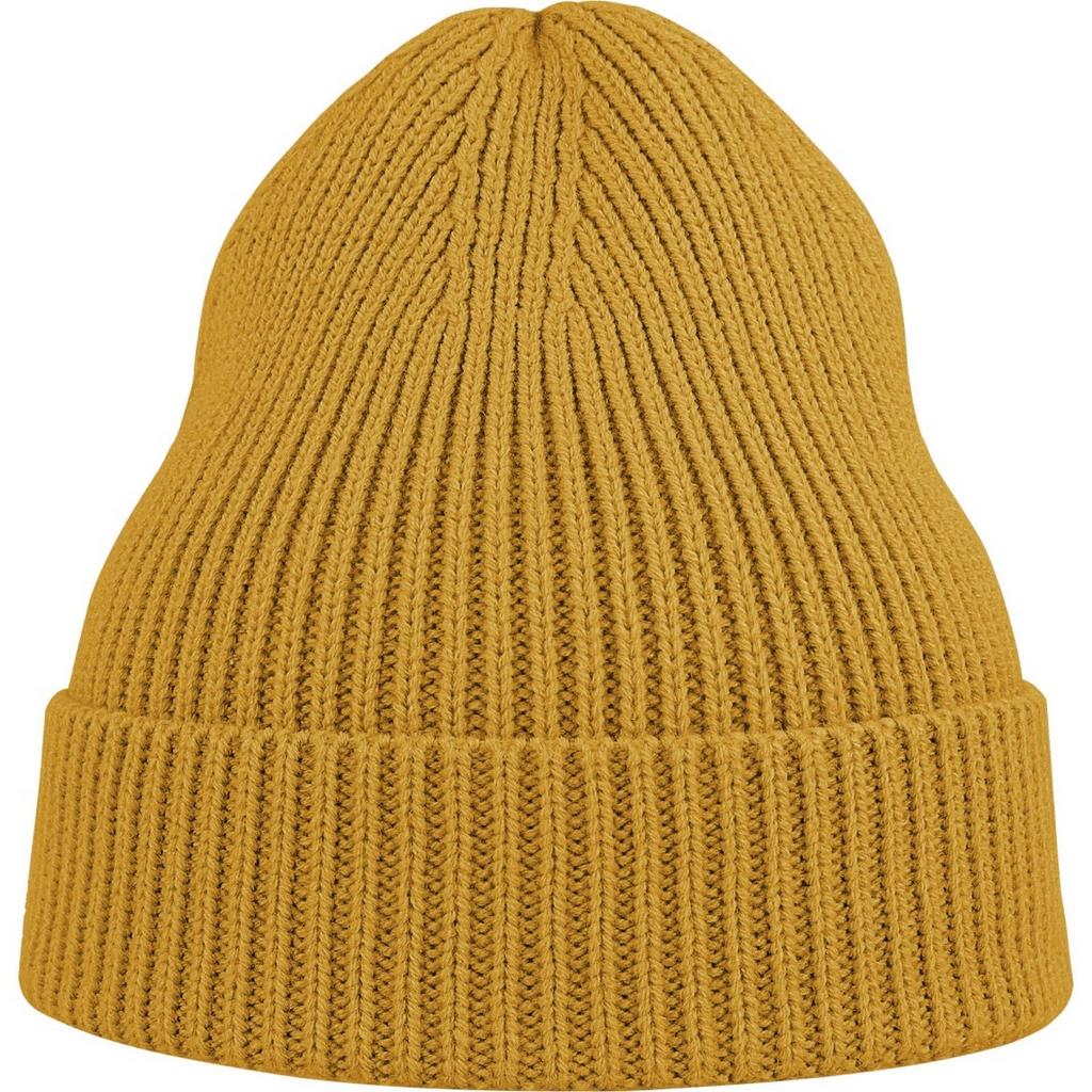 Atlantis Unisex Adult Andy Recycled Polyester Beanie