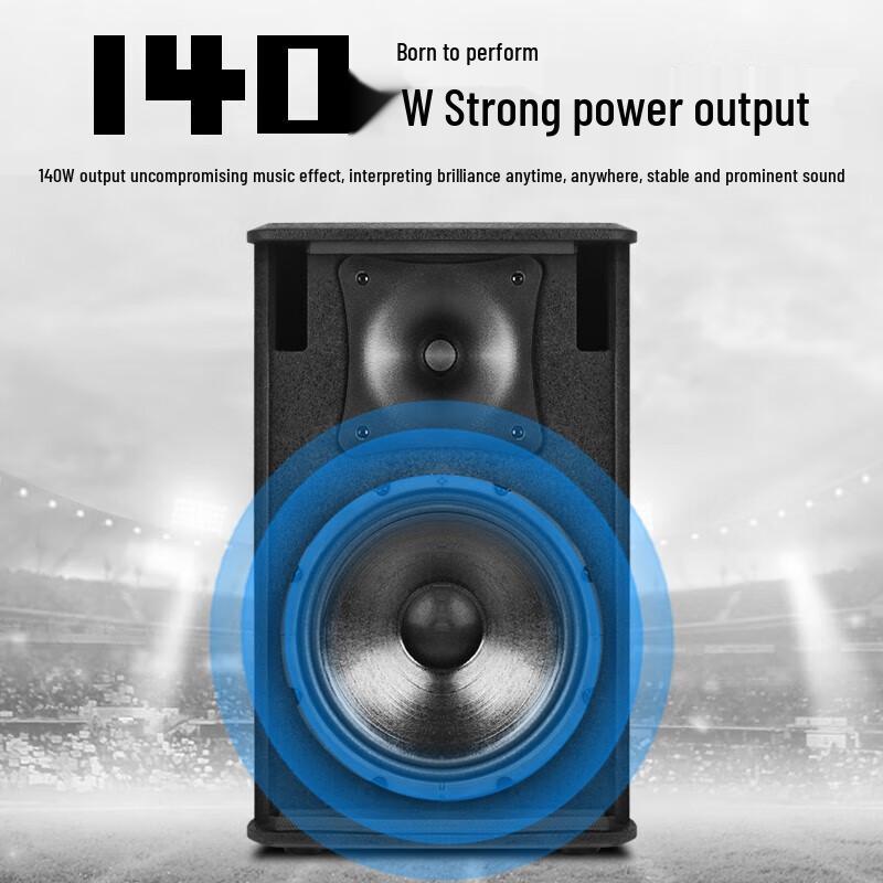 SHILE 10-inch Professional Conference Speaker