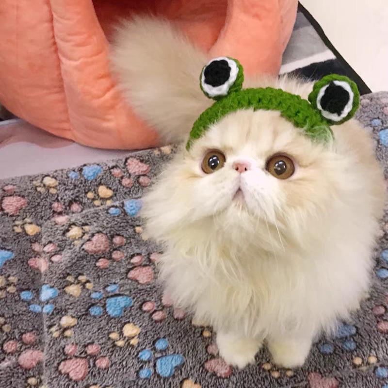 Chapeau pour animal de compagnie tricoté à la main - Chat, Chien, Design Grenouille