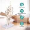 Medical Hand Skeleton Joint Model Human Finger Hand Bone Statues Anatomical Skeleton Figurine House Decoration Desk Accessories