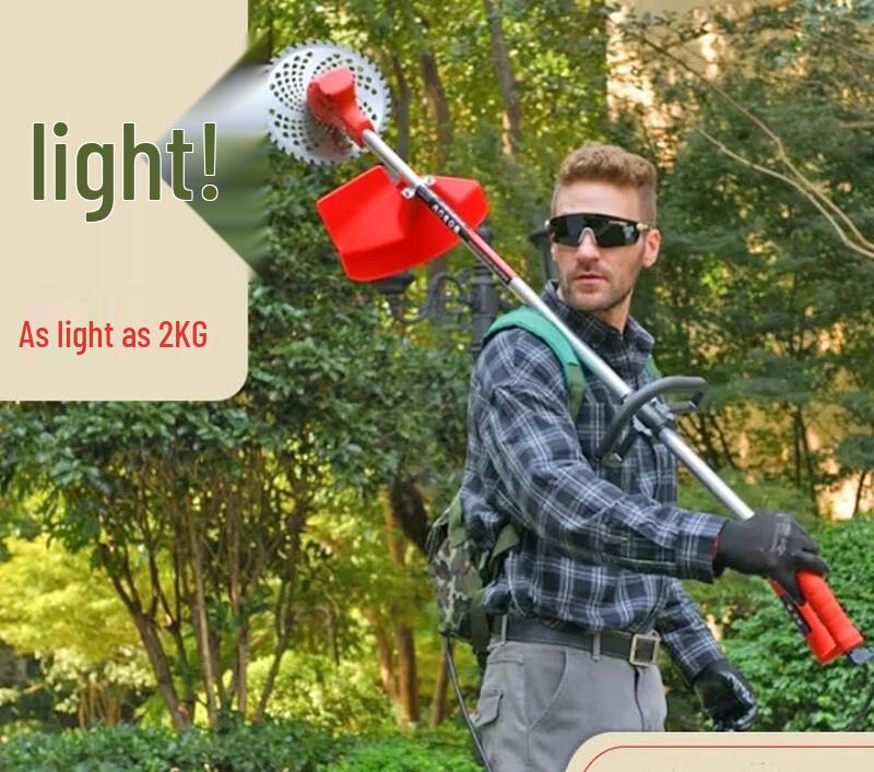 

SMVP Cordless Brushless Grass Trimmer CN plug (adapter included)