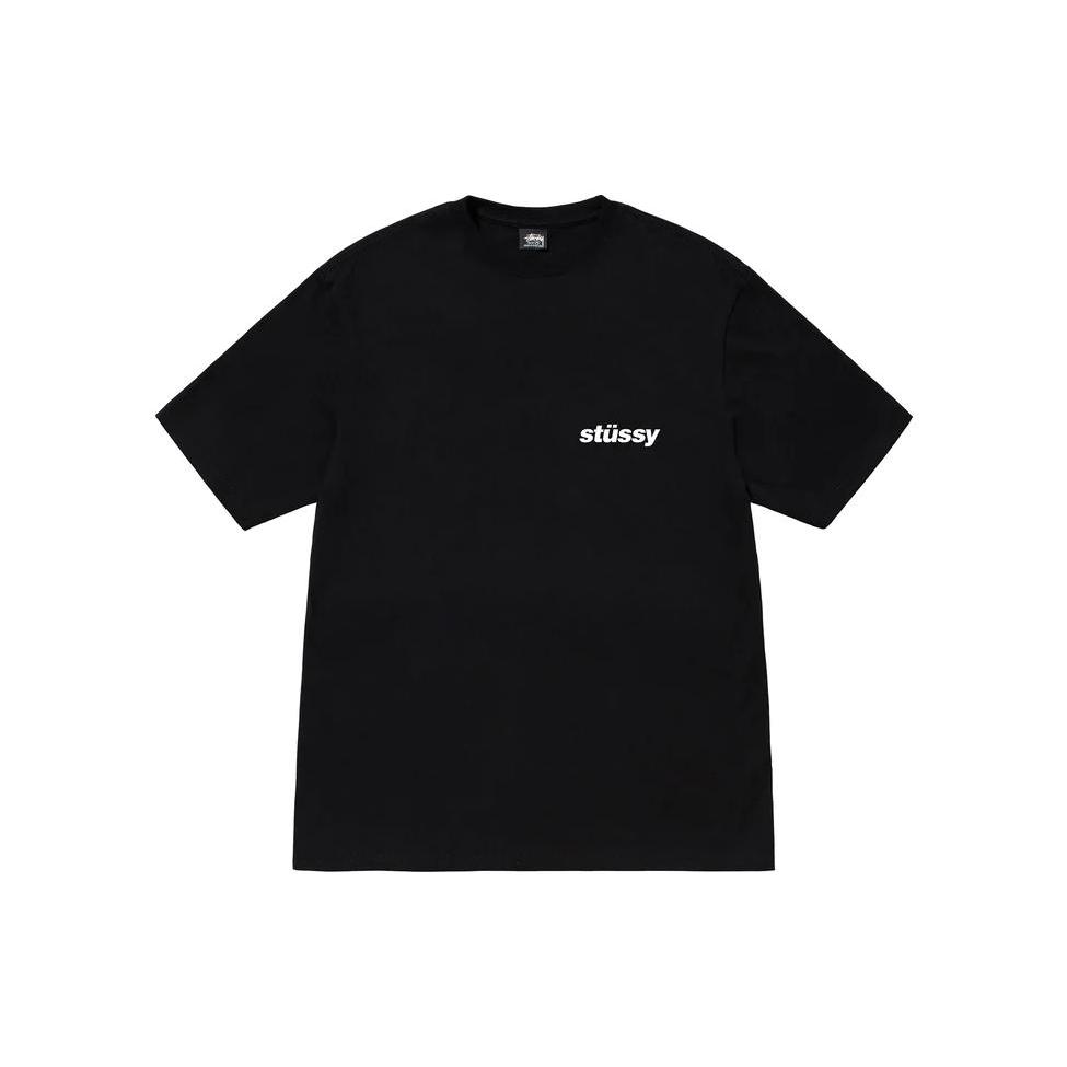 Stussy Popsicle Tee 1904871-