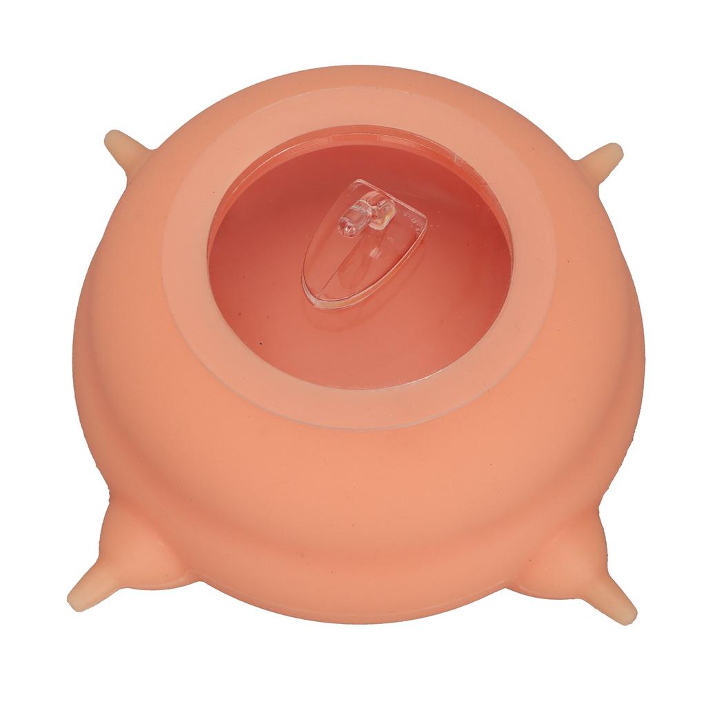 Puppy Milk Feeder Bowl 200ml Simulation Puppy Nursing Station Nipple Feeder with Suction Cups for