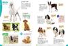 Dogs, Cats, and Pets (Gakken's Illustrated Encyclopedia LIVE)