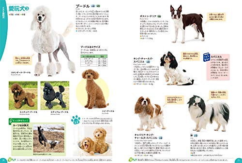 Dogs, Cats, and Pets (Gakken's Illustrated Encyclopedia LIVE)