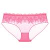 Perspective Mesh Ultra-thin Panties Women's Sexy Lace Temptation Low Waist Seamless Hot Women's Briefs