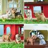 EYSCOTA 12 Pezzi Statuine Cane, Statuine Realistiche Cucciolo di Plastica, Animali Giocattolo Cane Piccolo Emulativo Dipinti a Mano, Decorazioni per Torta Cane Uova di Pasqua