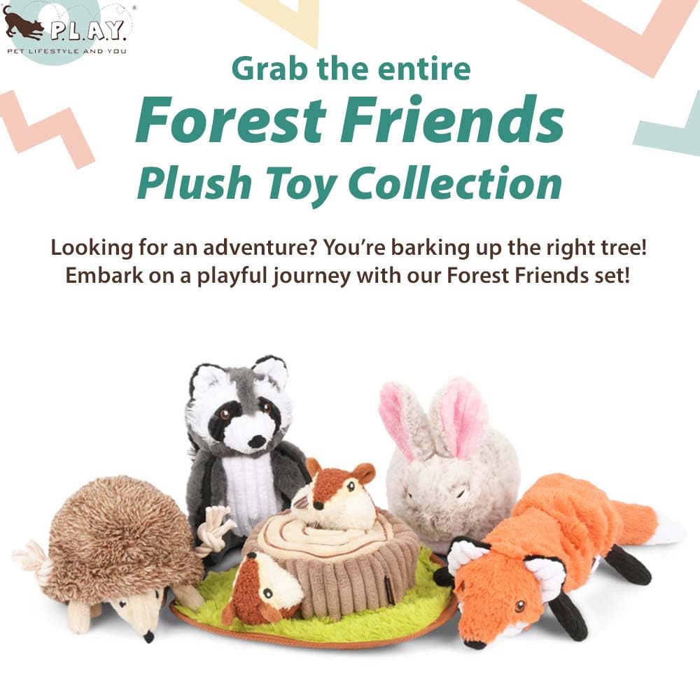 RookCran Forest Friends Fox 501736 P.L.A.Y.