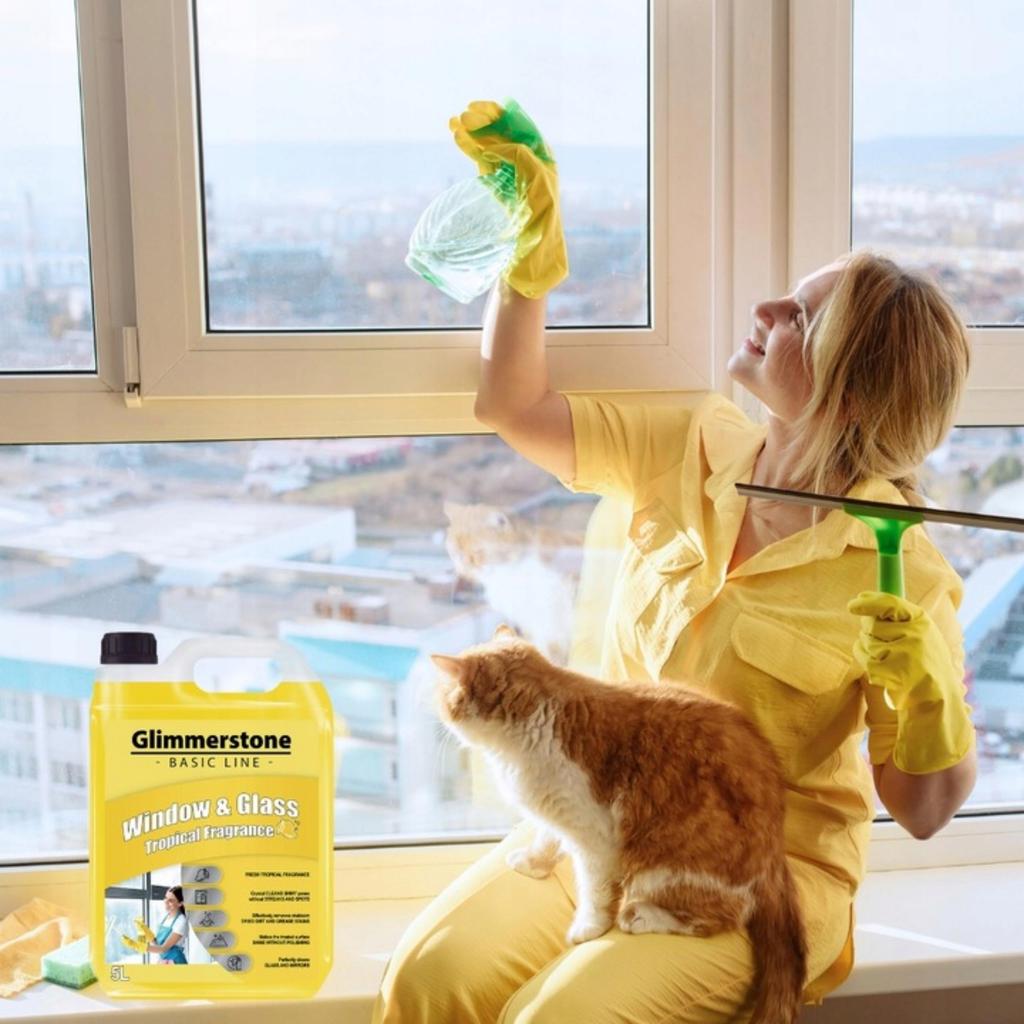 Liquid For Cleaning Windows, Shower Cabins And Mirrors Without Streaks And Smudges 5L