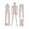 Model Riglă Cusut Modele Humanoide Design Clar Moda Ilustrație Rigle pentru