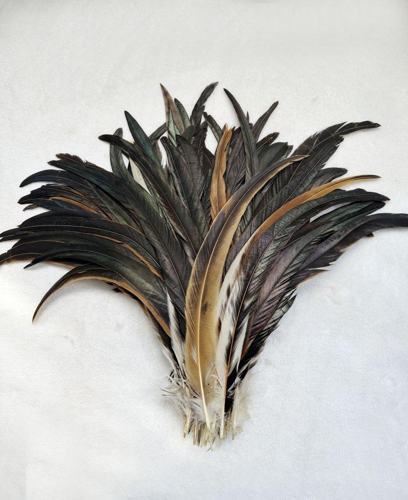 Wholes 500pcs Rooster Tail Feathers 25-30cm 30-35cm 35-40cm 40-45cm For Colored Carnival Costume&mask Party