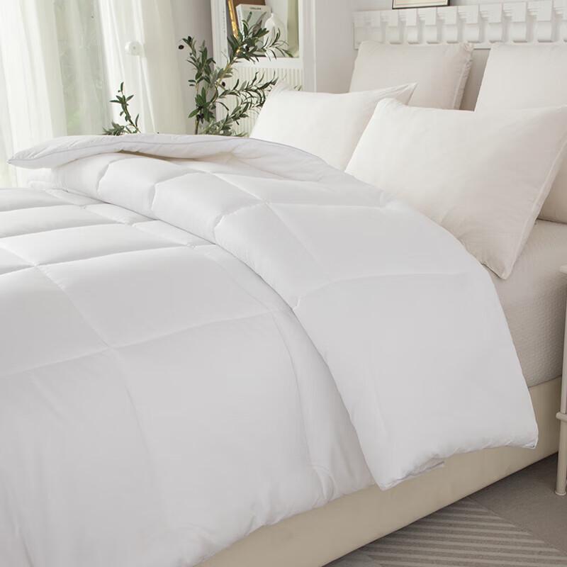 Fang'en Leichte Warme Gänseseidenfleece-Bettdecke