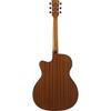 Ibanez High Ibanez / PC34CE-NT (Natural Gloss) [Electric Acoustic]