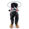 Lightweight Adjustable Blind Ring for Dogs Cats, Pet Harness Guide Device,Walking Blind Dog Ring, Guide Dog Harness, Blind Dog Accessories