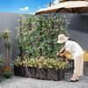 Hualong Shield Outdoor Planter Box with Trellis