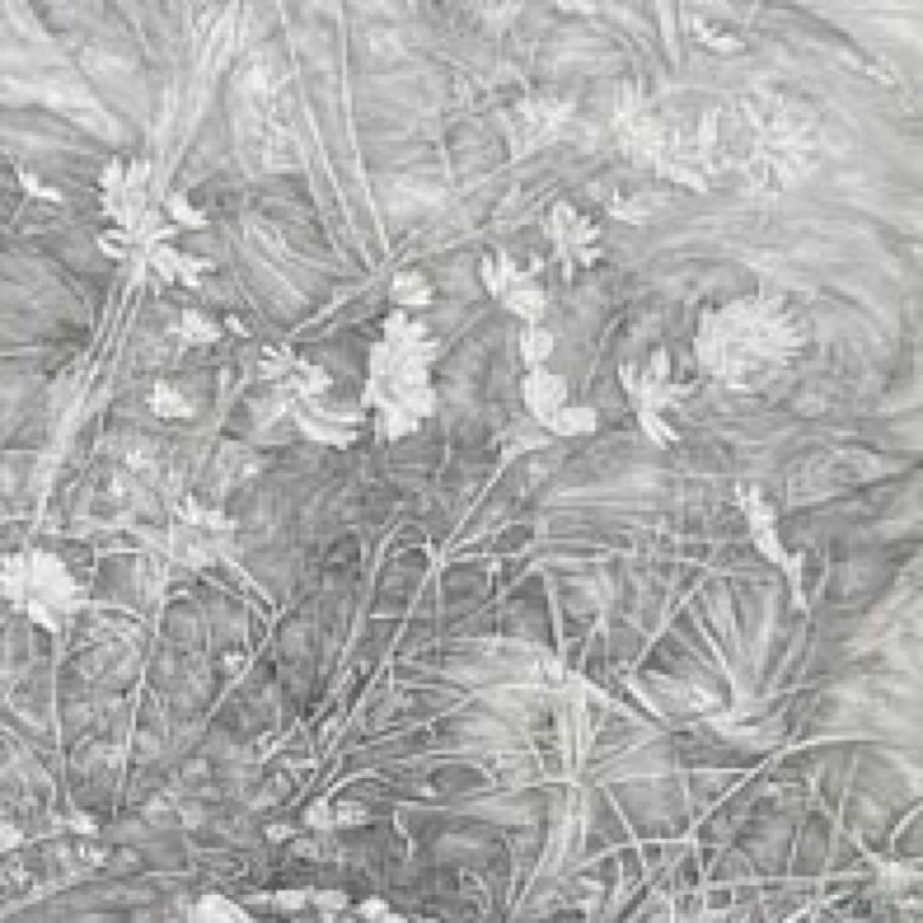 [USED] Kadosaka School of Works: The School of Wind Power