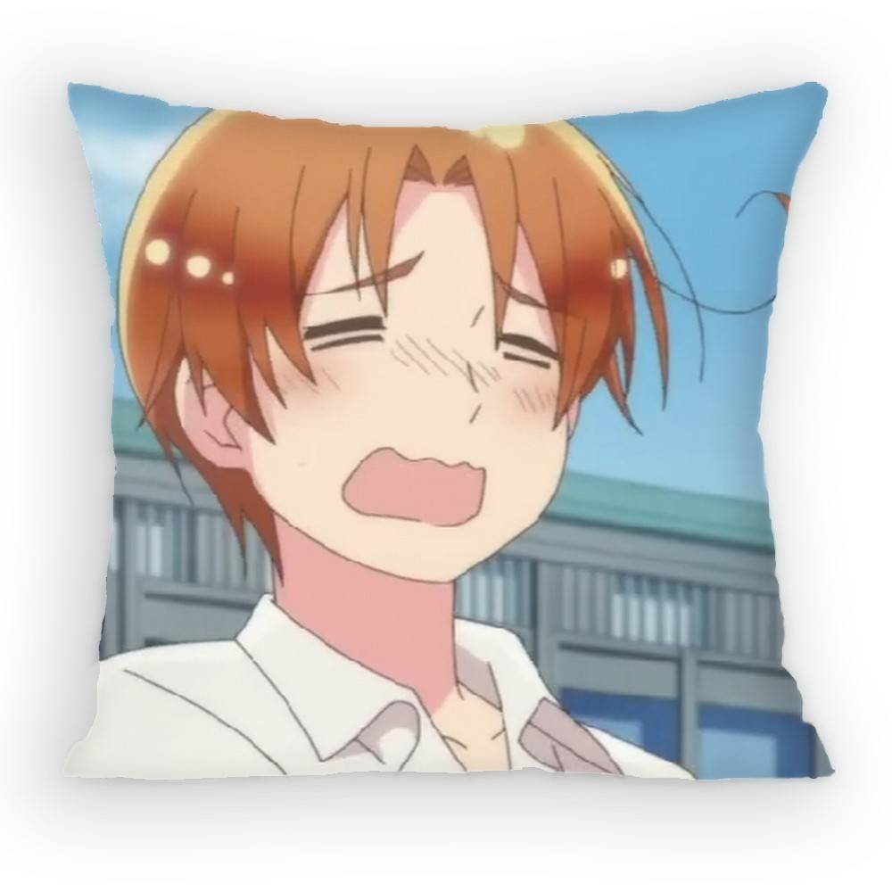 Anime Hetalia World Stars Feliciano Vargas Pillow Case Anti-Dustmite Pillowcase Invisible Silky Short Plush Sofa Cushion Cover
