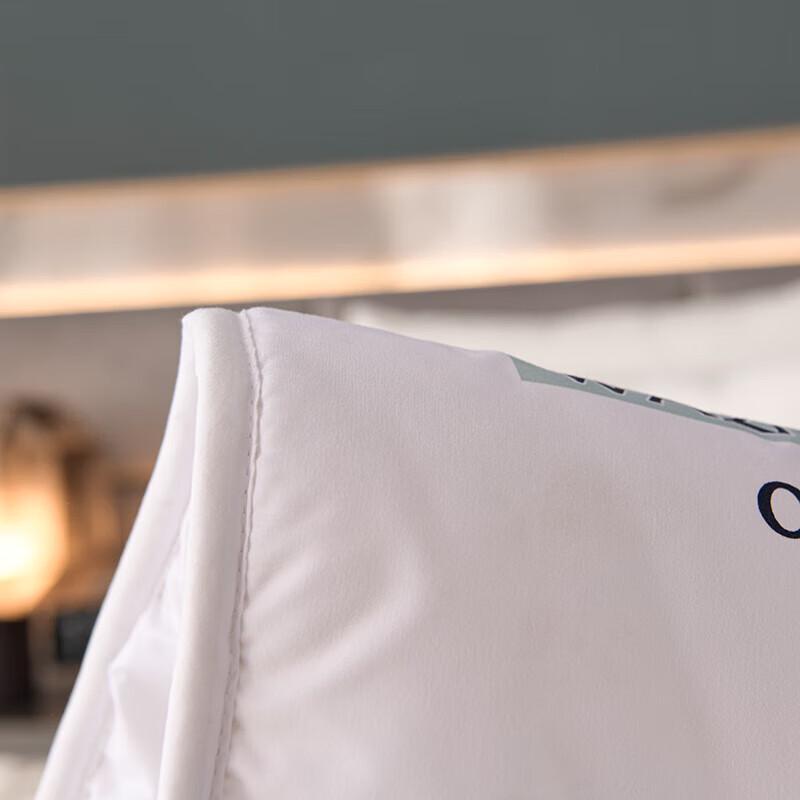 Jie Li Ya Luxury Winter Polyester Duvet