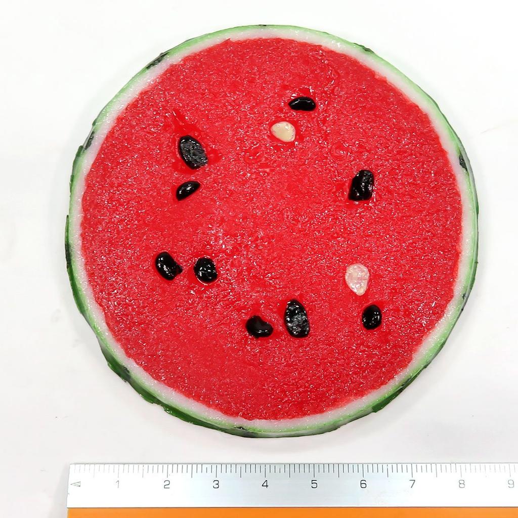 Fruit Coaster that looks like it could be eaten - Watermelon, Small, 205FC