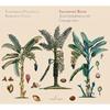 Albums de musique