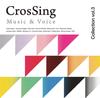 CrossSing Collection Vol.3