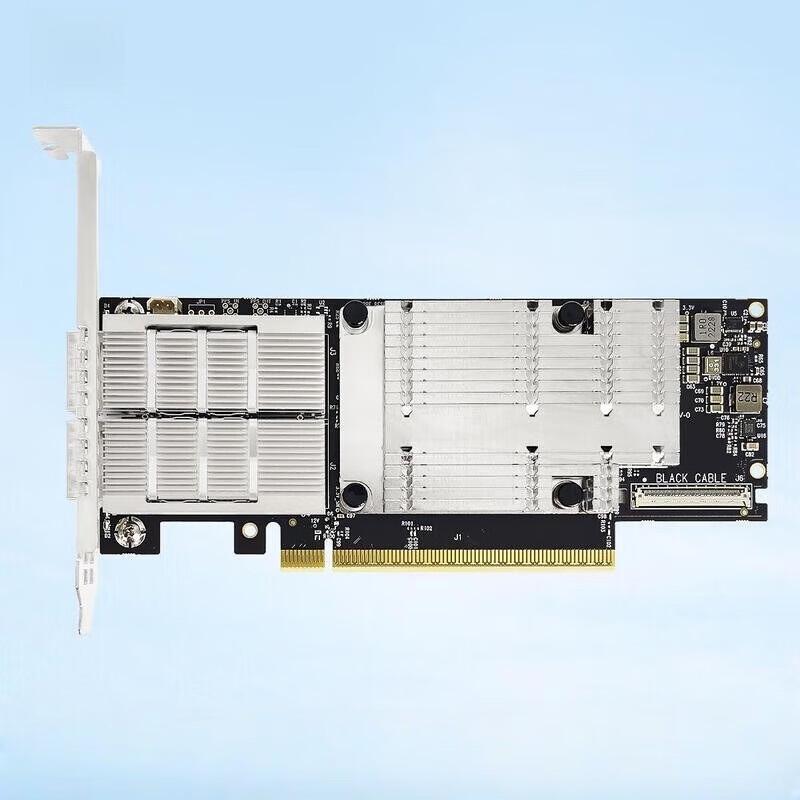 Mellanox MCX755106AS-HEAT 200G IB Dual Port Network Card (CN version)